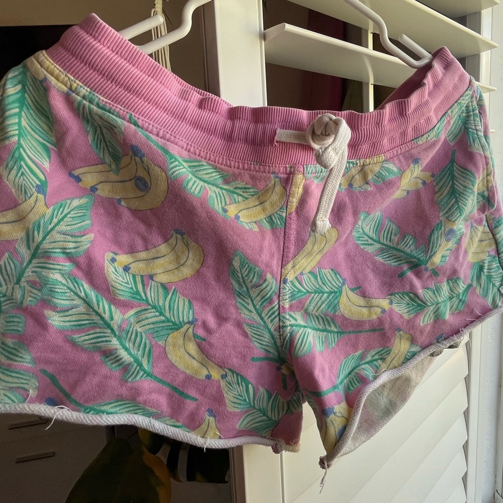 chubbies shorts